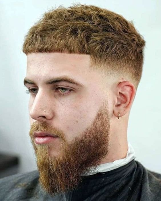 Corte de pelo + Barba + Cejas